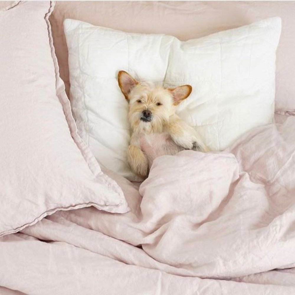 Parachute Home Linen Fitted Sheet King size Blush + Set Box Quilted Shams Blush